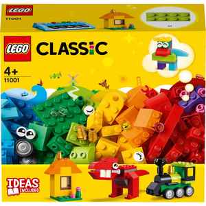 lego11001