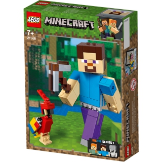 lego 21148
