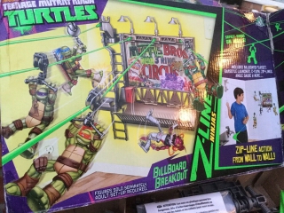 turtles